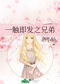 《一触即发之兄弟》