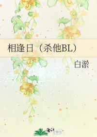 《相逢日(杀他BL)》
