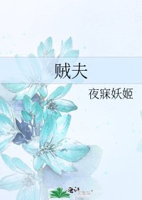 《贼夫》