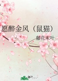 愿醉金风（鼠猫）