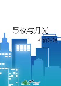 《黑夜与月光》
