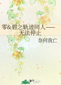 《零&碧之轨迹同人——无法停止》