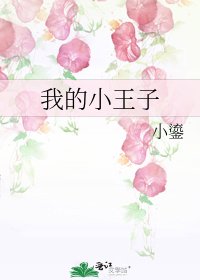 《我的小王子》