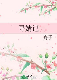 寻婧记
