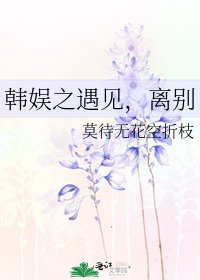 《韩娱之遇见,离别》
