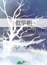 似华朝