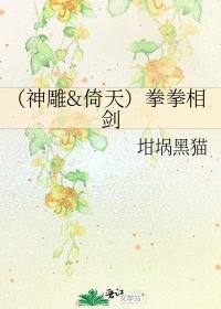 《(神雕&倚天)拳拳相剑》