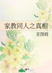《家教同人之真相》