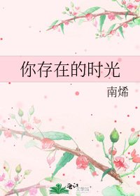 《你存在的时光》