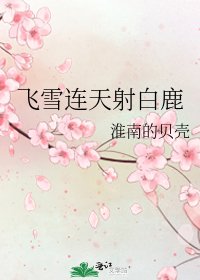 《飞雪连天射白鹿》