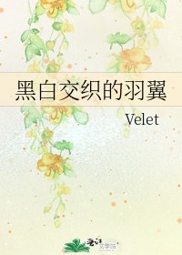 《黑白交织的羽翼》