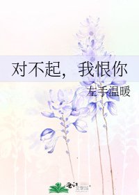 《对不起,我恨你》