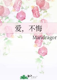 《爱,不悔》
