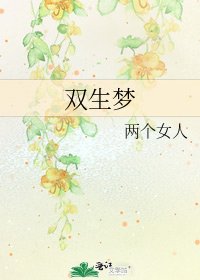 《双生梦》