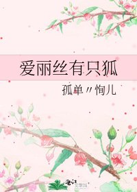 爱丽丝有只狐