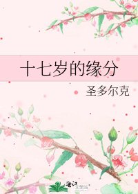 《十七岁的缘分》