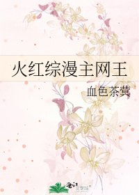 《火红综漫主网王》