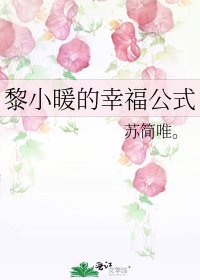 黎小暖的幸福公式