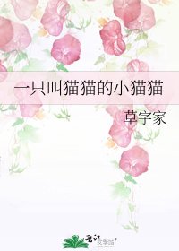 一只叫猫猫的小猫猫