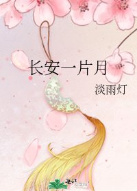 《长安一片月》