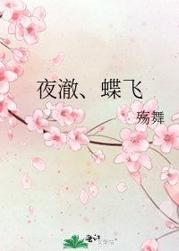 夜澈、蝶飞