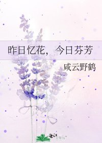 《昨日忆花,今日芬芳》