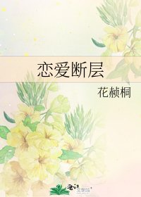 《恋爱断层》
