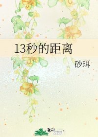 13秒的距离