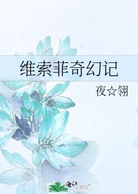 《维索菲奇幻记》