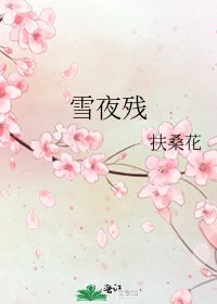《雪夜残》