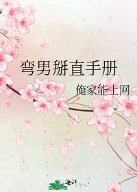 弯男掰直手册
