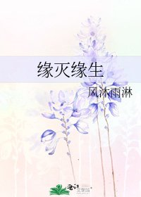 《缘灭缘生》