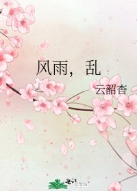 《风雨,乱》