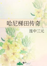 《哈尼梯田传奇》