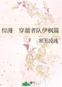 《综漫 穿越者队伊枫篇》