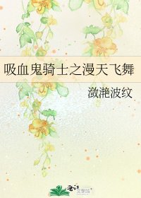 《吸血鬼骑士之漫天飞舞》