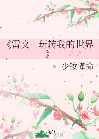 《雷文—玩转我的世界》