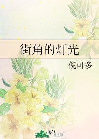 《街角的灯光》