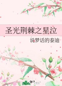 《圣光荆棘之星泣》