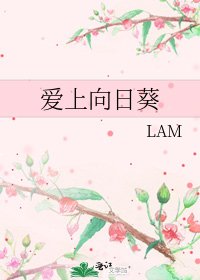 《爱上向日葵》