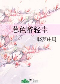 暮色醉轻尘