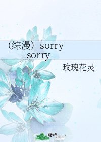 《(综漫)sorry sorry》