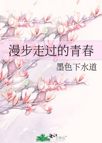 《漫步走过的青春》