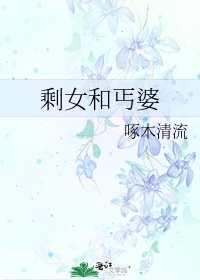 《剩女和丐婆》