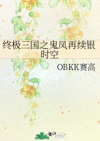 《终极三国之鬼凤再续银时空》