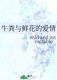 《牛粪与鲜花的爱情》