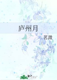 《庐州月》