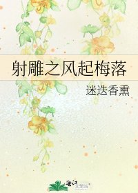 《射雕之风起梅落》