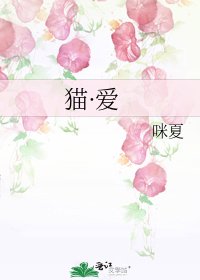 《猫·爱》