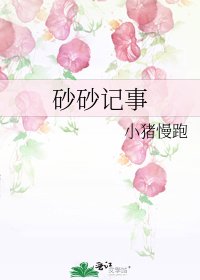 砂砂记事